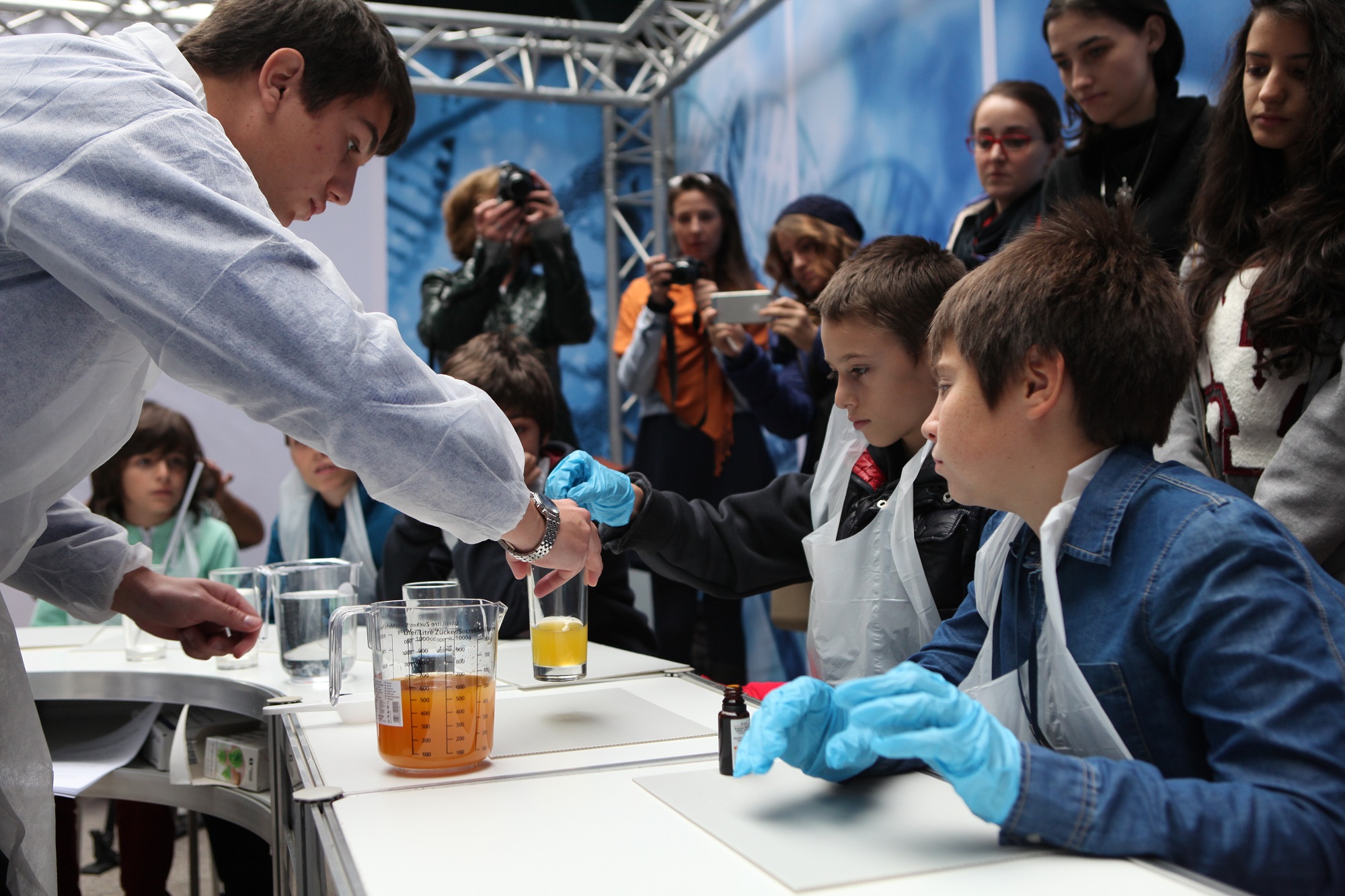 Kyde e VitC experiment.jpg